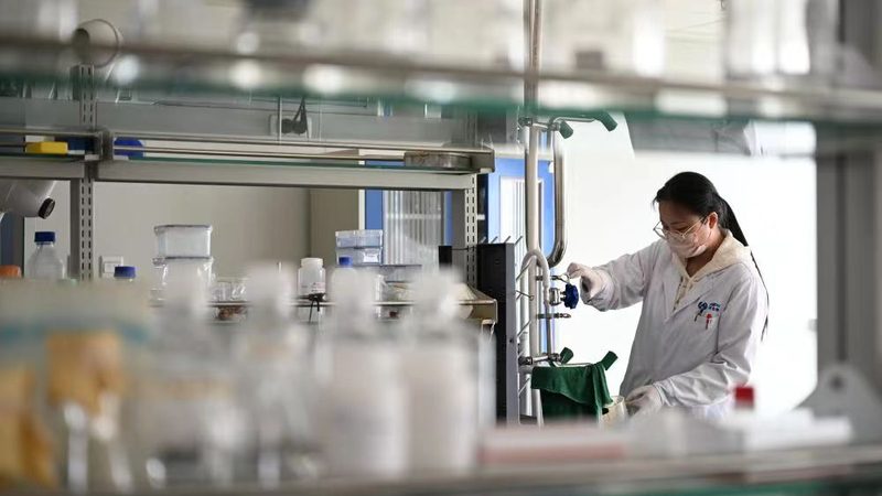 中药饮片GMP认证：厂家选择背后的考量因素