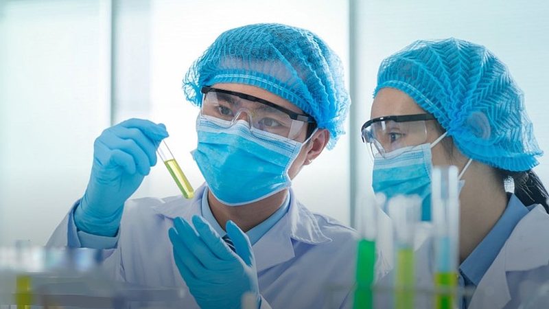 植物空心胶囊与明胶胶囊：差异解析与选择要点