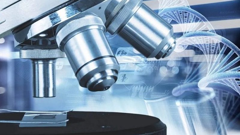 药用级羟丙甲纤维素：揭秘其规格型号与关键特性**