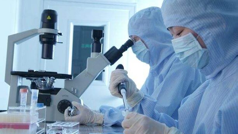 中药提取物车间GMP规范参数设置的重要性与实施要点