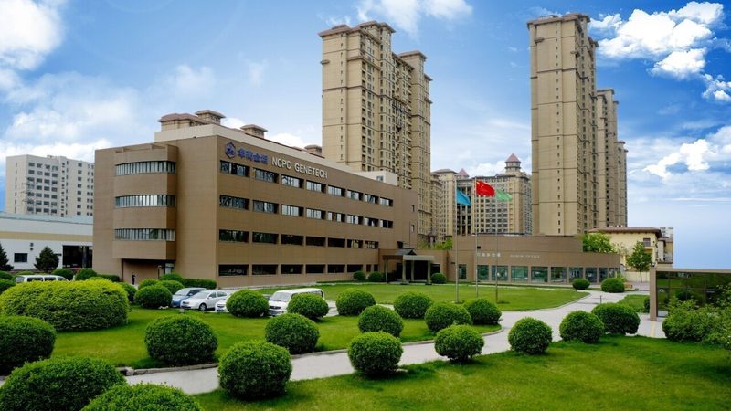 上海药用辅料代理条件：合规与质量的保障**